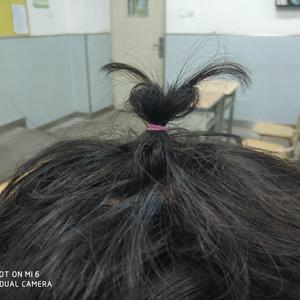 国产导航精品大全
