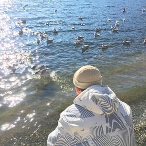 国产导航精品大全
