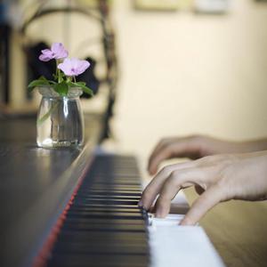 国产导航精品大全
